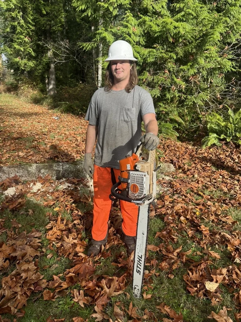 Snohomish Arborist Services