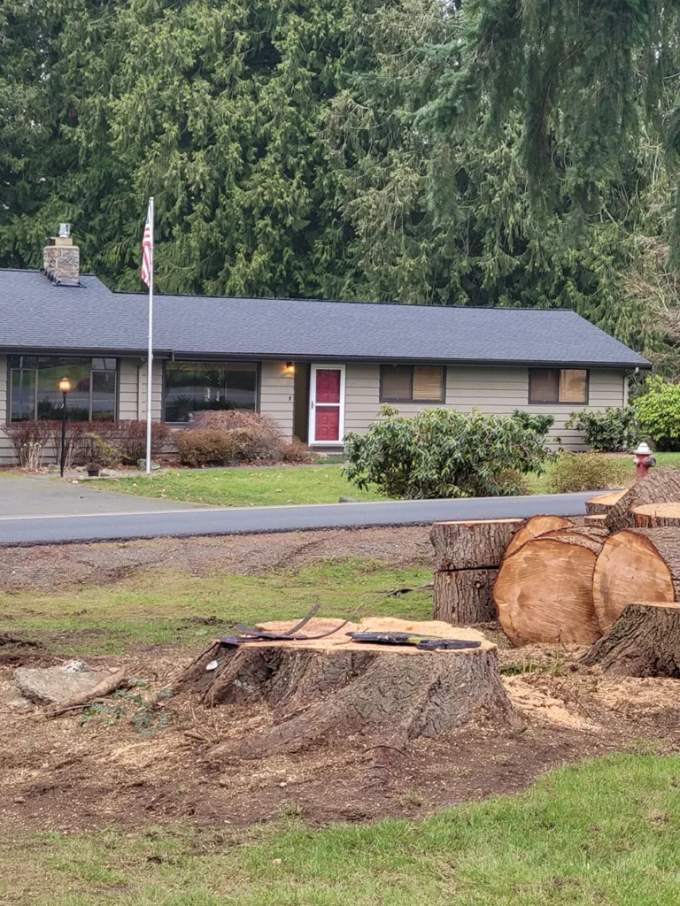 Stump Grinding In Snohomish WA